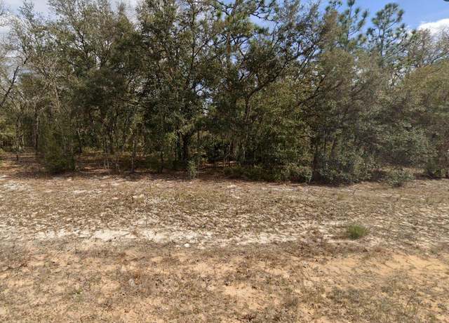 Property at 308 Janet, Interlachen, FL 32148