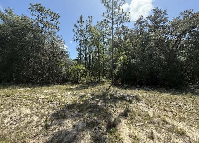 Property at 308 Janet, Interlachen, FL 32148