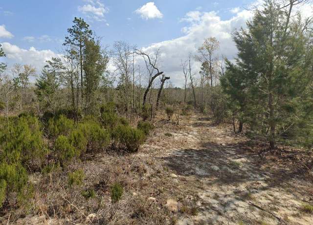 Property at 328 Houston St, Interlachen, FL 32148
