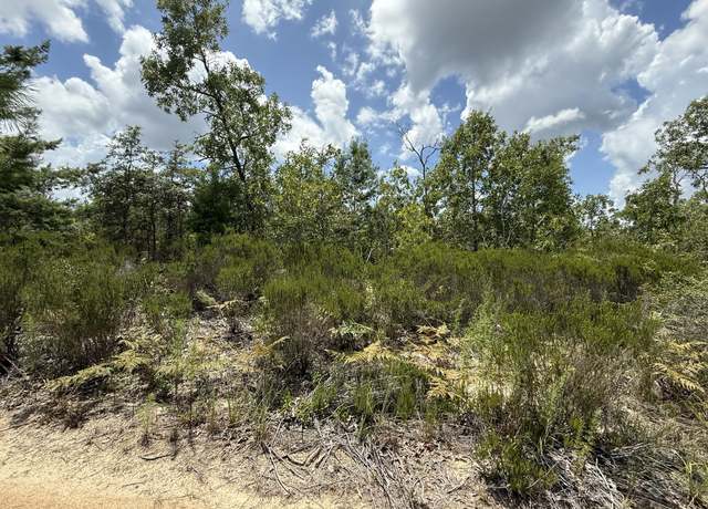 Property at 328 Houston St, Interlachen, FL 32148