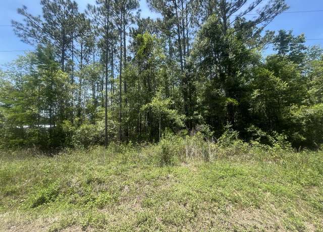 Property at 10445 Amos Ave, Hastings, FL 32145