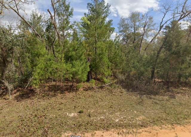 Property at 107 Gloria Ave, Interlachen, FL 32148