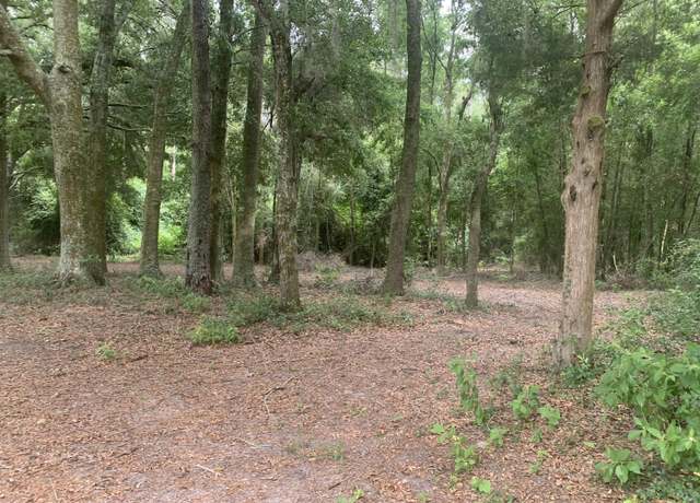Property at 20 SW Sw St, Bell, FL 32619