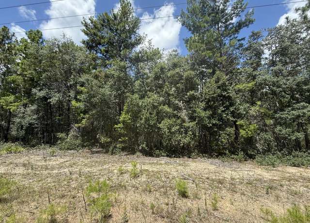 Property at 316 Usina Ave, Interlachen, FL 32148