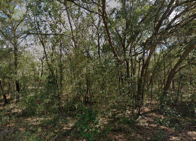 Property at 138 SE 8th Ave, Interlachen, FL 32148