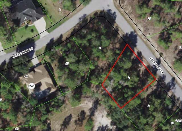 Property at 4 Heuchera Ct E, Homosassa, FL 34446