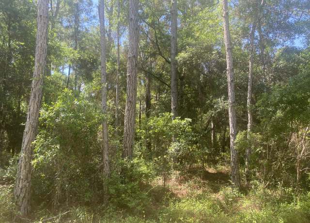 Property at Tbd NE 155 Ln, Fort Mccoy, FL 32134