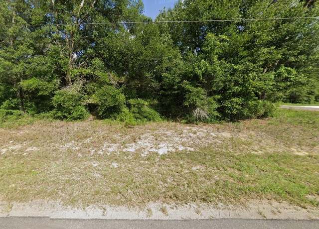 Property at Tbd SE 141st Ave, Ocklawaha, FL 32179