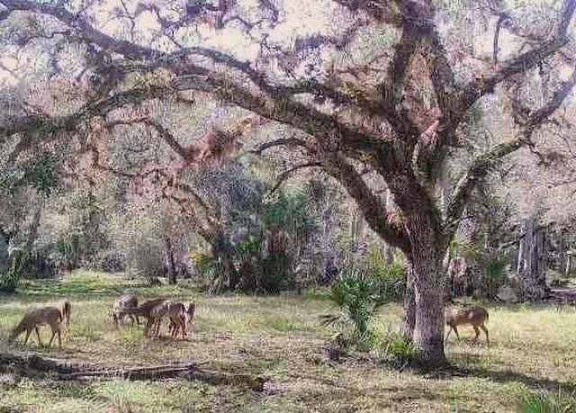 Property at 10364 W State Road 78, Moore Haven, FL 33471