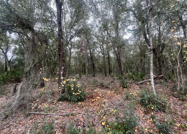 Property at 0 Pat Ave, Interlachen, FL 32148