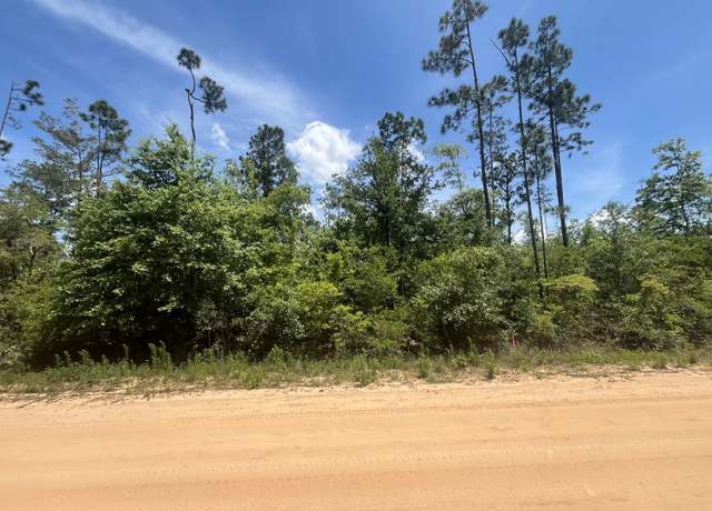 Property at Tbd Tamarac Rd, Marianna, FL 32448