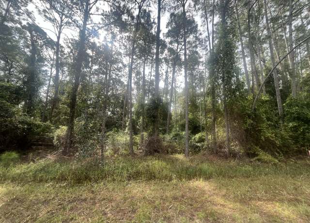 Property at 223 SE 2nd St, Georgetown, FL 32139