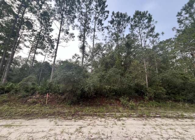 Property at 119 Gardenia Ave, Georgetown, FL 32139