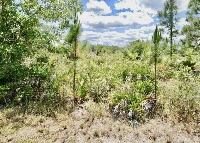 Property at 3362 Rhododendron Rd, Lake Placid, FL 33852