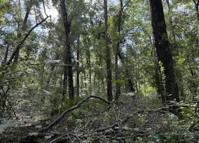 Property at Tbd Running Springs Dr, Live Oak, FL 32060