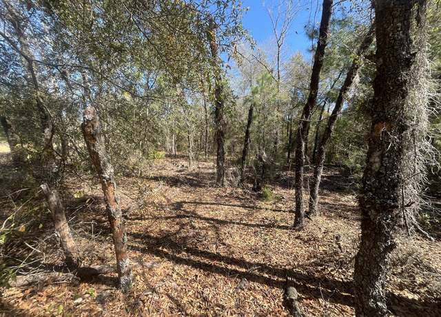 Property at Tbd Kitty Ave #11, Interlachen, FL 32148