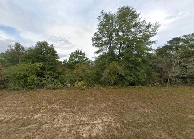 Property at Tbd Elkcam Blvd, Chipley, FL 32428