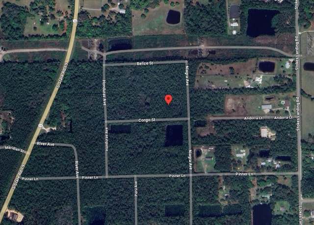 Property at 102 Congo St, Palatka, FL 32177