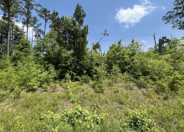 Property at Tbd Grand Quiviera Cir, Alford, FL 32420