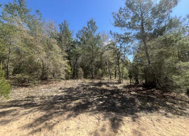 Property at Tbd Kitty Ave #13, Interlachen, FL 32148