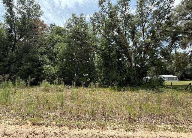 Property at 119 Smokey Ave, Interlachen, FL 32148