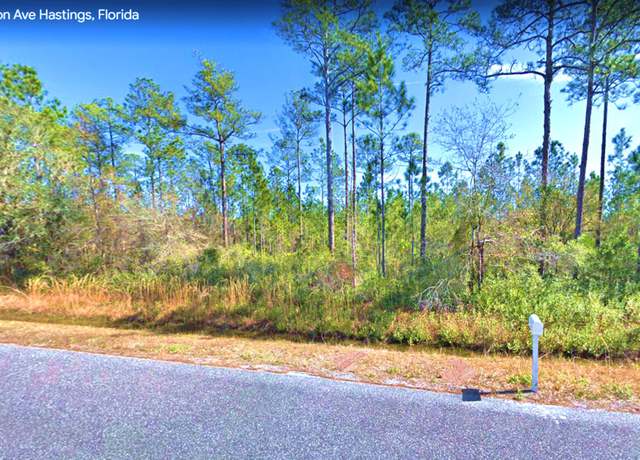 Property at 10320 Erickson Ave, Hastings, FL 32145