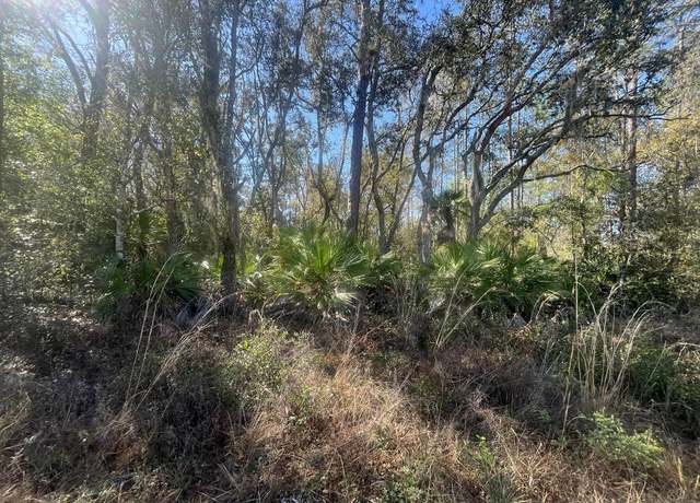 Property at Tbd Scott St, Interlachen, FL 32148