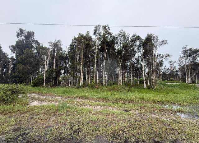 Property at 3130 Meadow Rd, Lehigh Acres, FL 33974