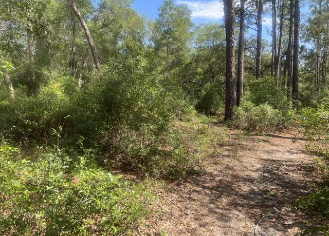 Property at Undetermin SE 92 Nd Pl, Ocklawaha, FL 32179