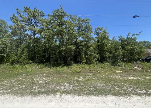 Property at Tbd Cliff Swallow Rd, Weeki Wachee, FL 34614