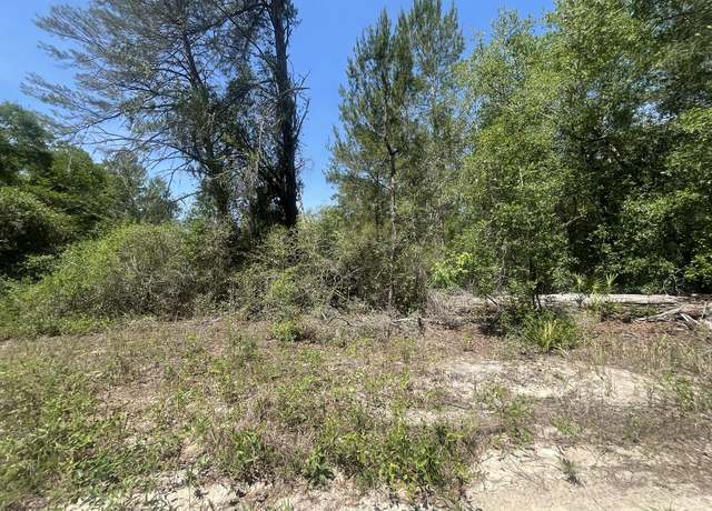 Property at Tbd NE 170th Ct, Silver Springs, FL 34488