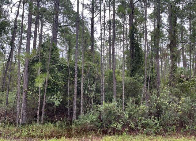 Property at 117 Mosswood St, Georgetown, FL 32139