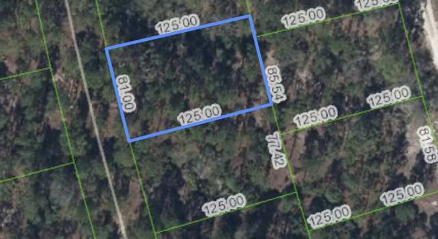 Photo of 213 Sun Flower Dr, Lake Placid, FL 33852