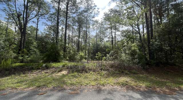 Photo of 0 SW 201st Cir, Dunnellon, FL 34431