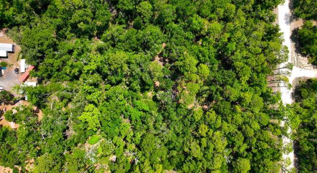 Photo of Tbd NE 899th St, Old Town, FL 32680