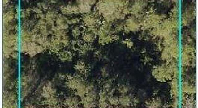 Photo of 9446 127th Ct, Fellsmere, FL 32948