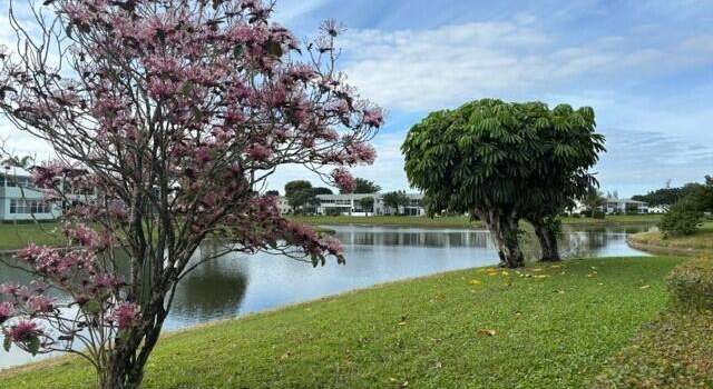 Photo of 3 Chatham A, West Palm Beach, FL 33417