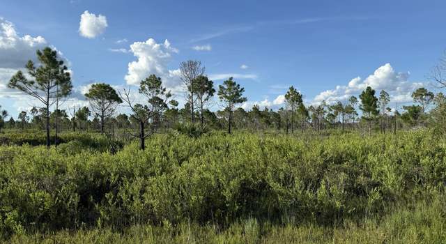 Photo of 15827 NW 272nd St, Okeechobee, FL 34972