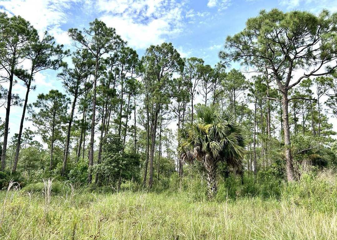 775 Riviera Ave, Clewiston, FL 33440