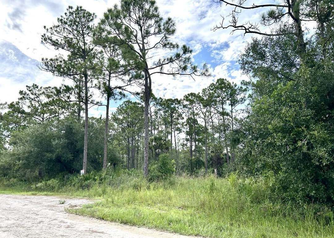 775 Riviera Ave, Clewiston, FL 33440