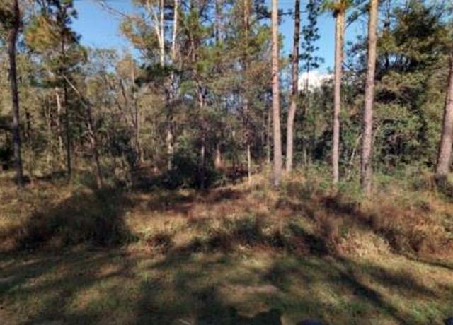Property at 4740 Calvin, FL 32145