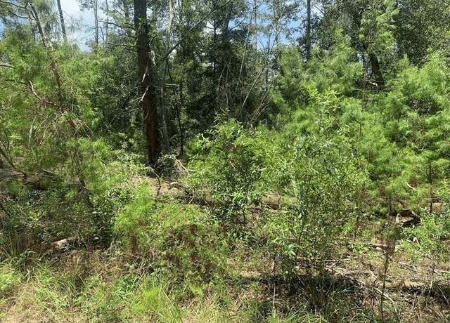 Property at 111 New York Ave, FL 32148