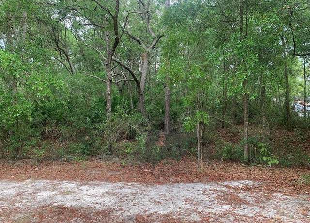 Property at 209 Highline Trl, FL 32189