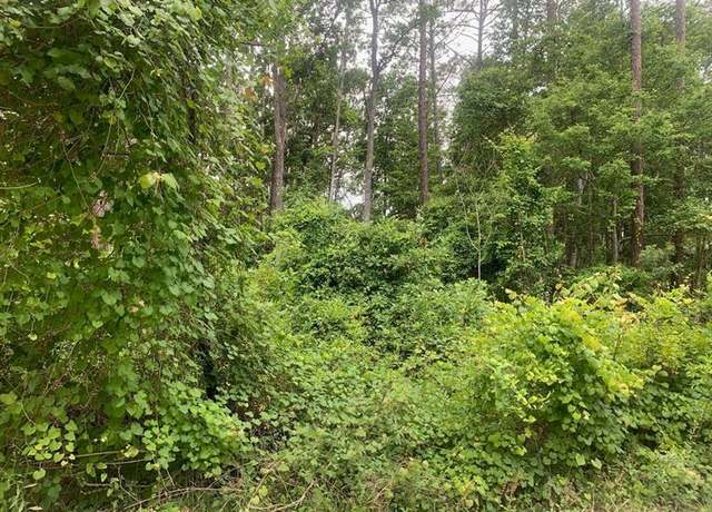 Property at 123 Coot Rd, FL 32189