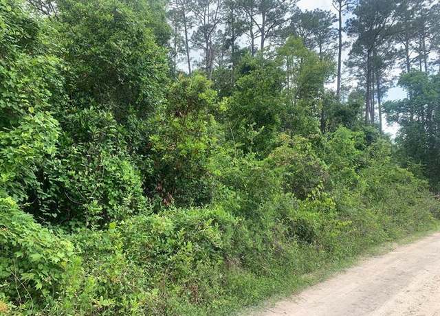 Property at 117 Coot Dr, FL 32189