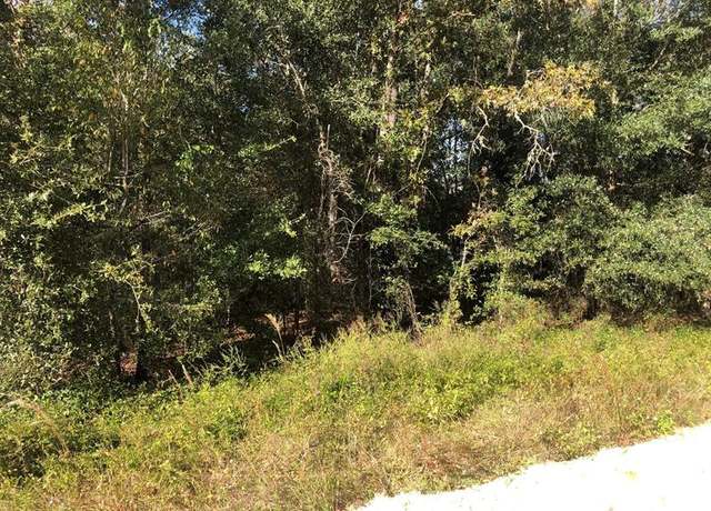 Property at 0 Evans Ave, FL 32148