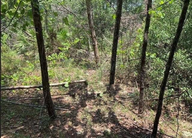 Property at 213 Kansas St, FL 32189