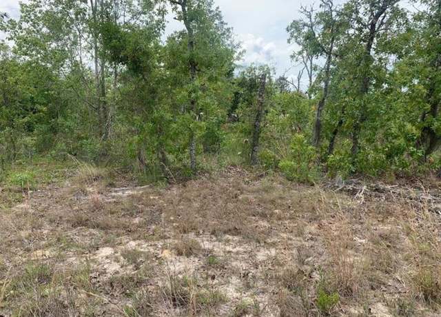 Property at 0 Monroe St, FL 32148