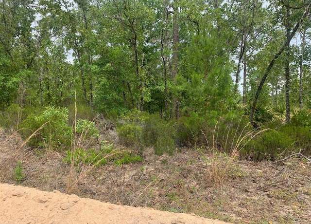 Property at 0 Miami St, FL 32148