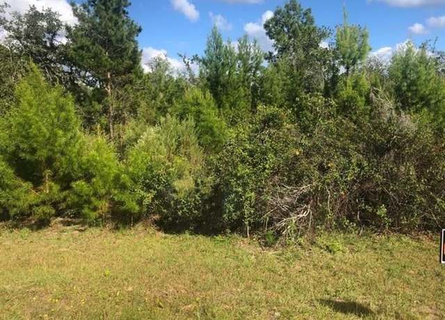Property at 204 Usina Ave, FL 32148